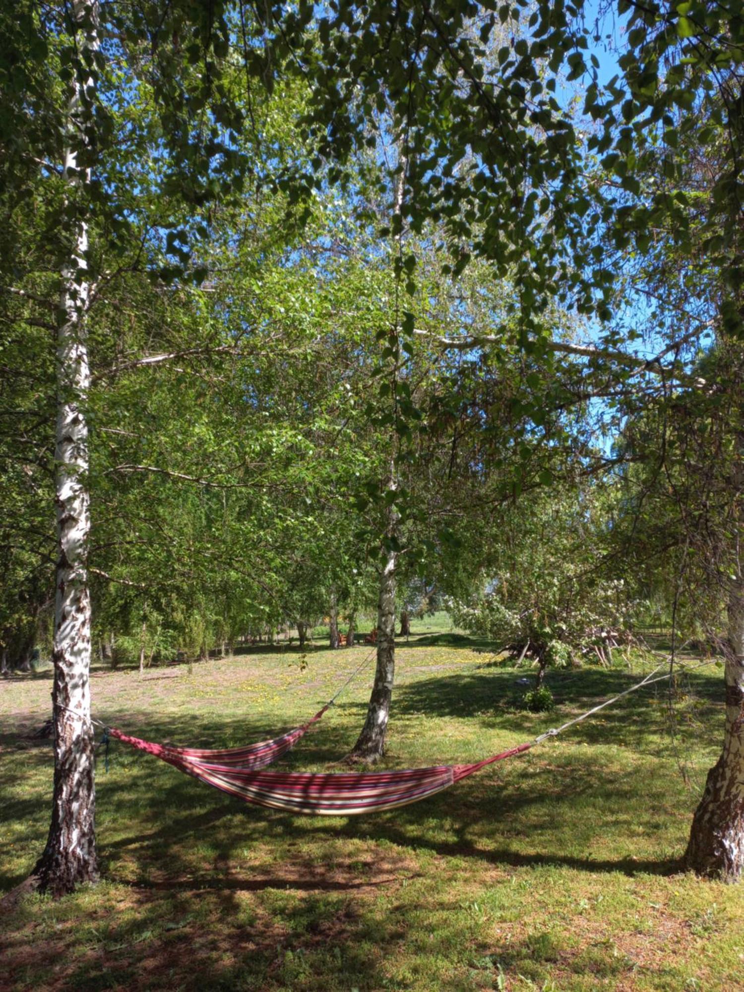 Hostel Lc Hoyo de Epuyén Buitenkant foto